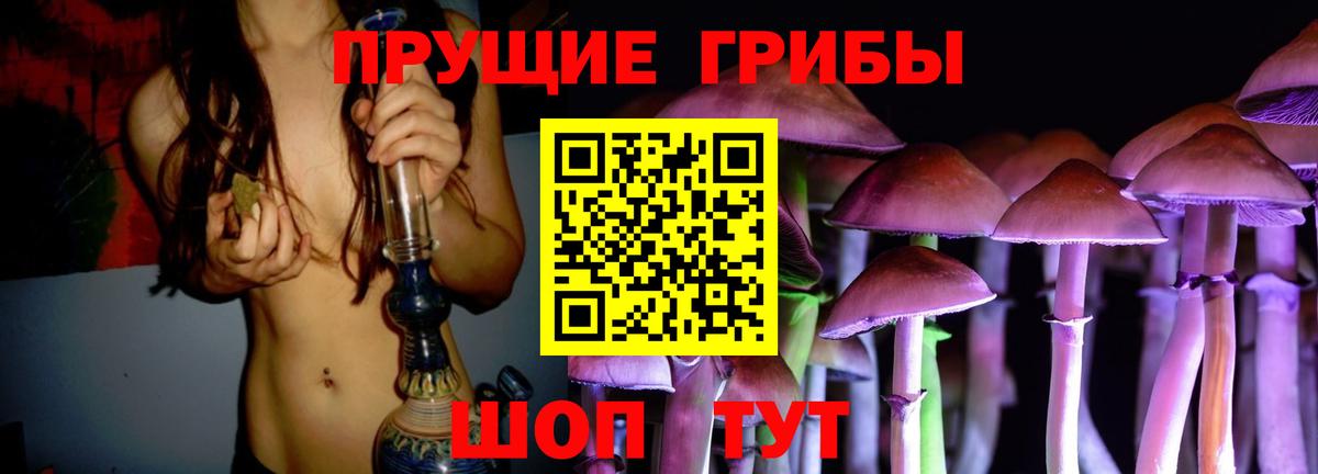 Галлюциногенные грибы Cubensis Кстово